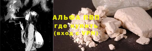 хмурый Алексин