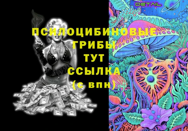 спиды Алзамай