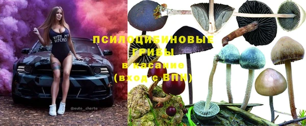 тгк Алексеевка