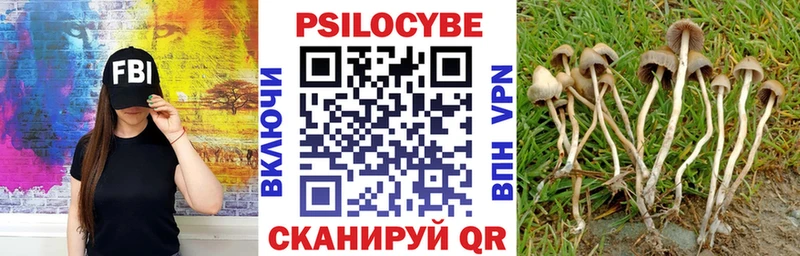 Псилоцибиновые грибы Magic Shrooms где купить Уфа